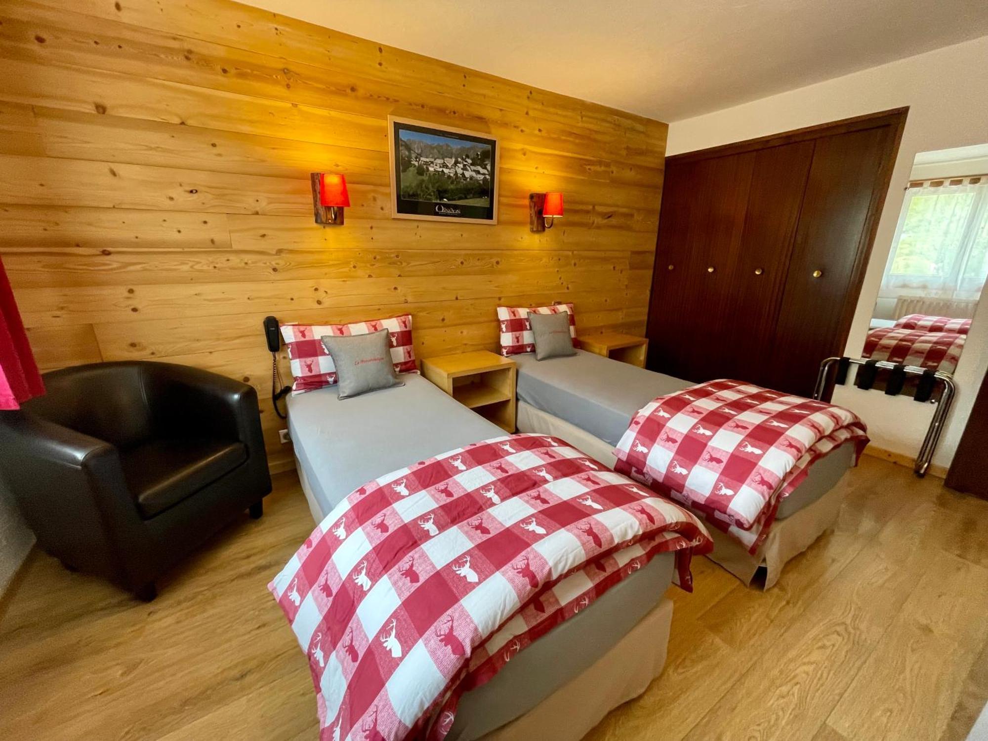 Hotel Chalet Le Panoramique Mizoen Екстериор снимка
